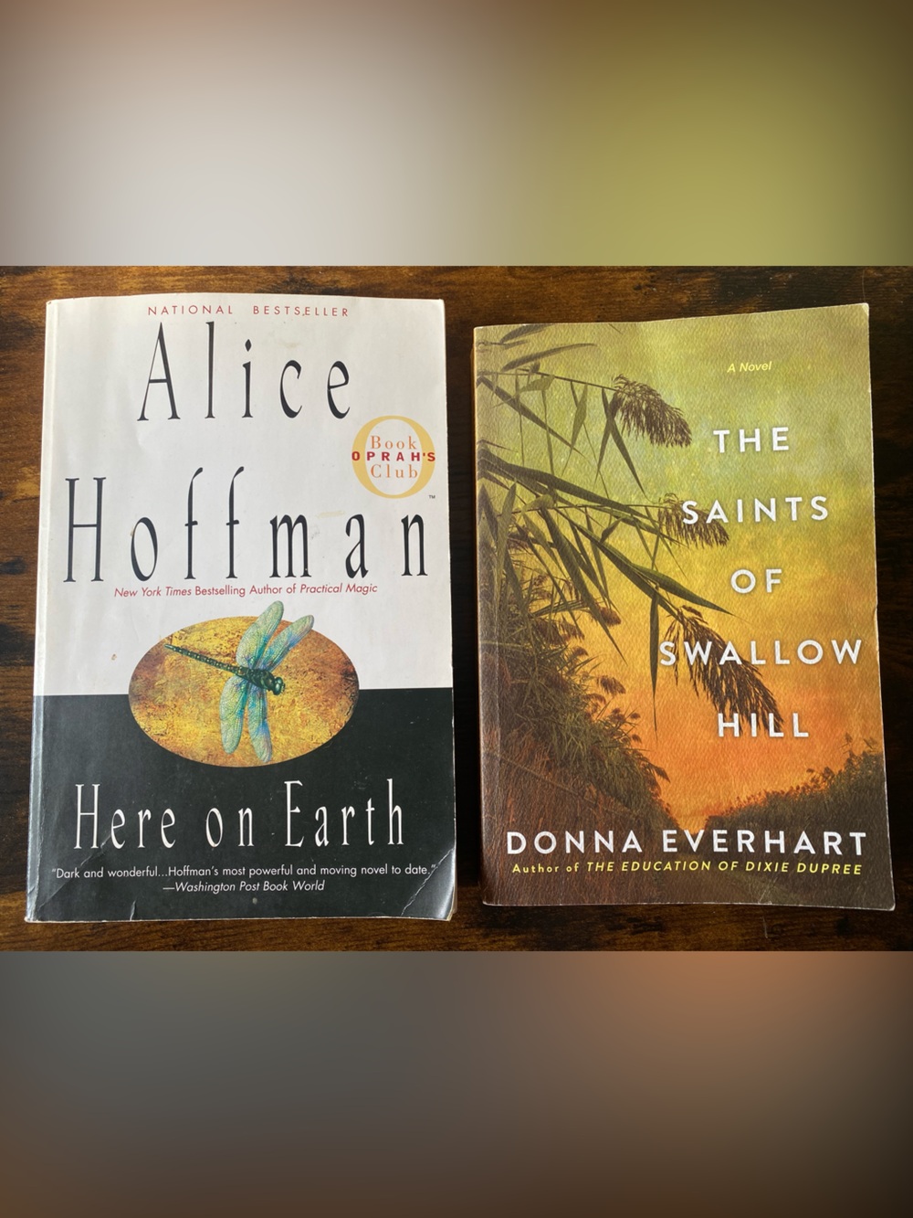 2 Paperback Novels - Fiction